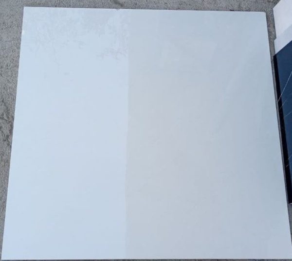 photo21501179816